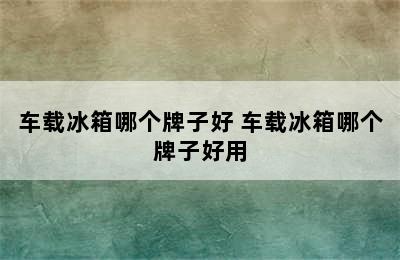 车载冰箱哪个牌子好 车载冰箱哪个牌子好用